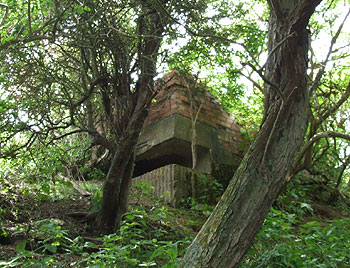 Pillbox at Cuckmere Haven