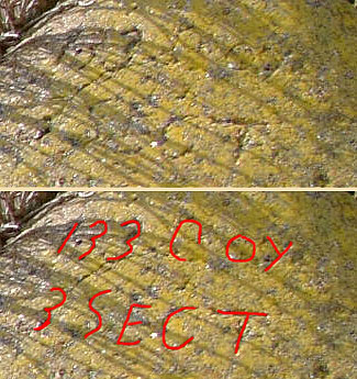 Grafitti on Anti-Tank Cube at Cuckmere Haven