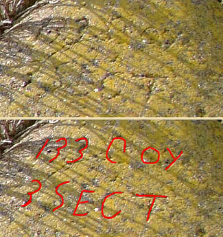 Grafitti on Anti-Tank Cube at Cuckmere Haven