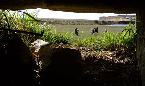 Non-standard pillbox at Cuckmere Haven