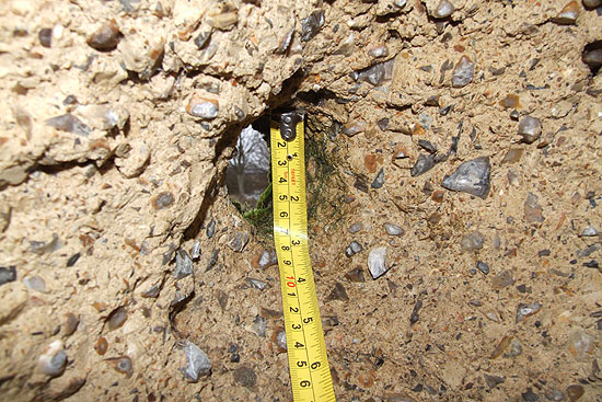 Damage to Type 22 Pillbox