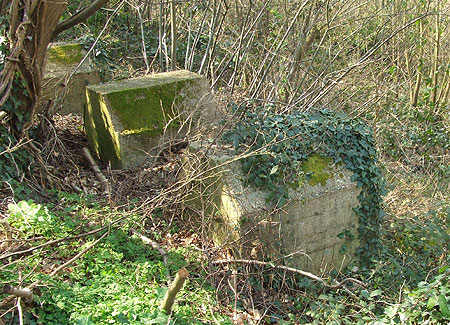 Dragon's teeth at Ninfield