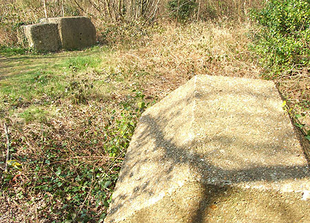 Dragon's teeth at Ninfield