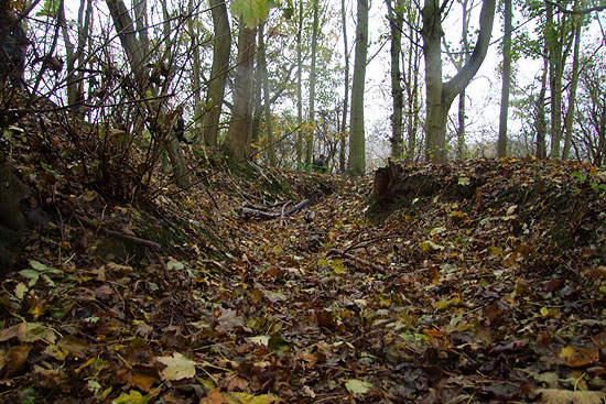 Shorncliffe Military Cemetery