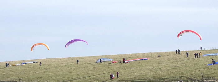 Paragliders