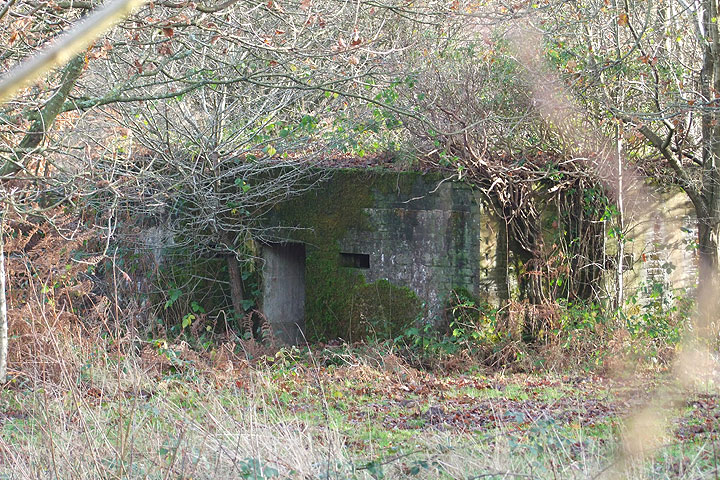 Pillbox at Old Lodge Warren