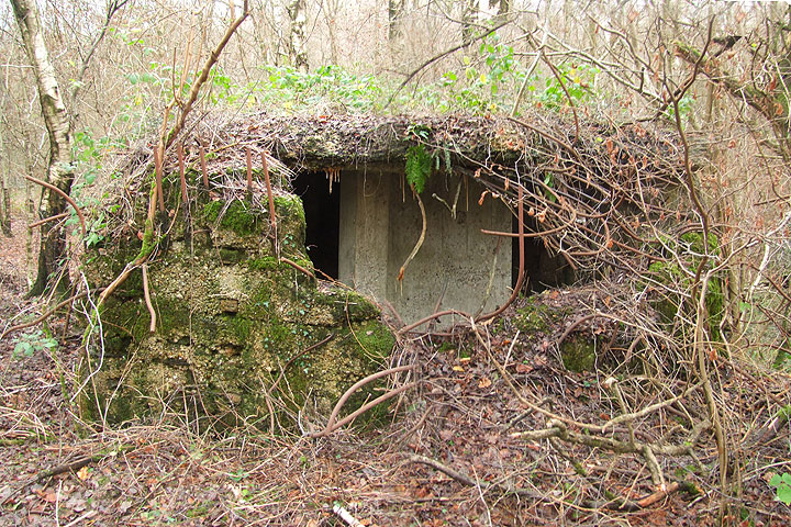 Pillbox at Old Lodge Warren