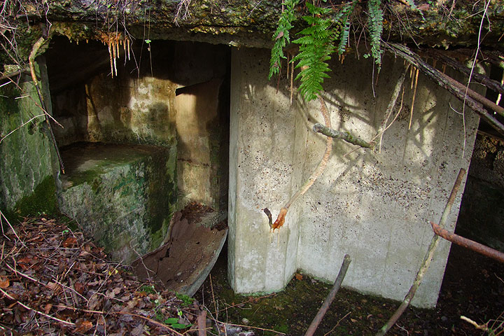 Pillbox at Old Lodge Warren