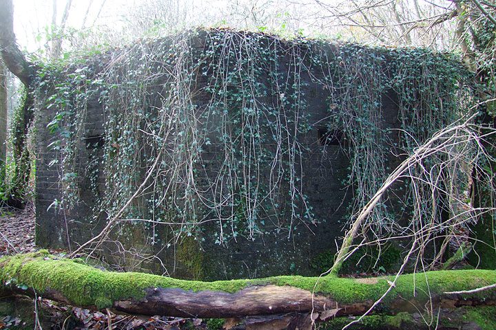 Pillbox at Old Lodge Warren