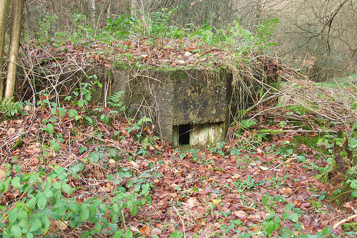 Pillbox at Old Lodge Warren