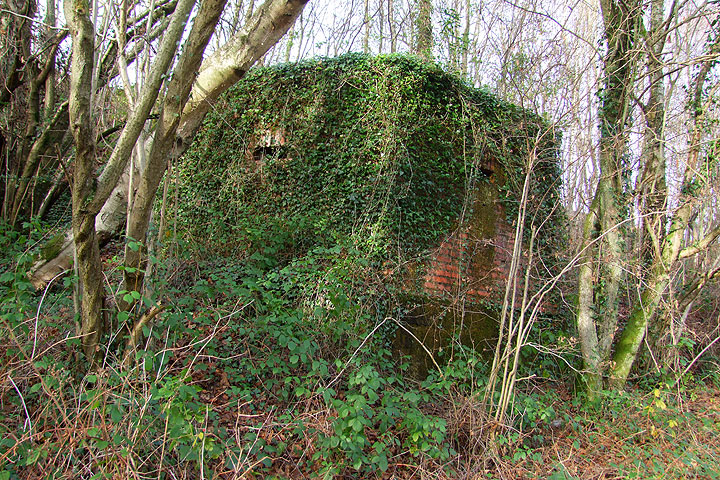 Pillbox at Old Lodge Warren