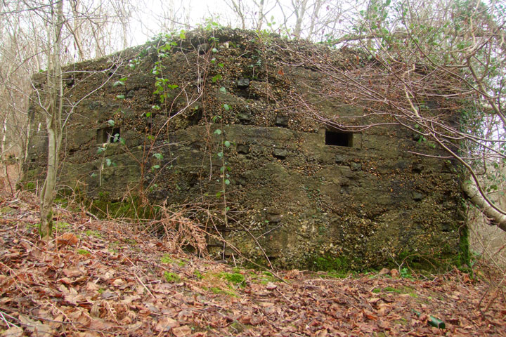 Pillbox at Old Lodge Warren