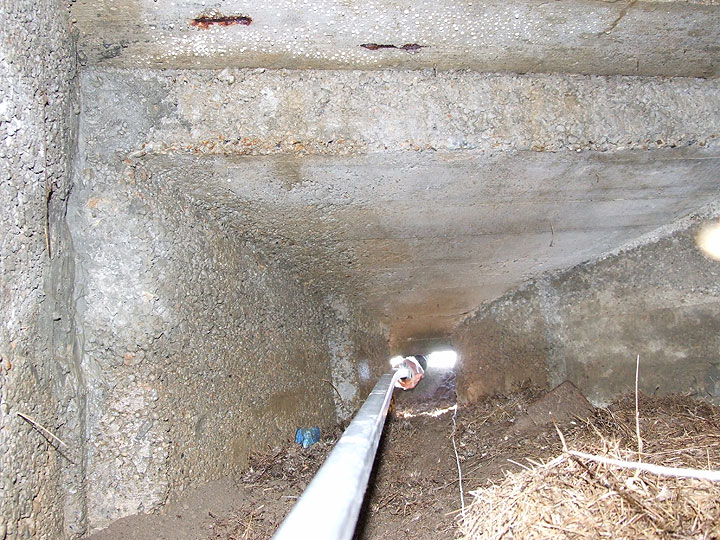 Keyhole surgery at Cuckmere Haven