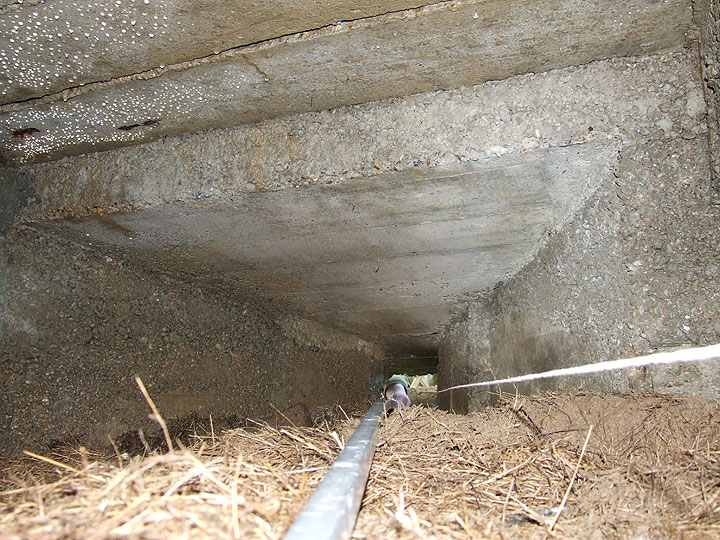 Keyhole surgery at Cuckmere Haven