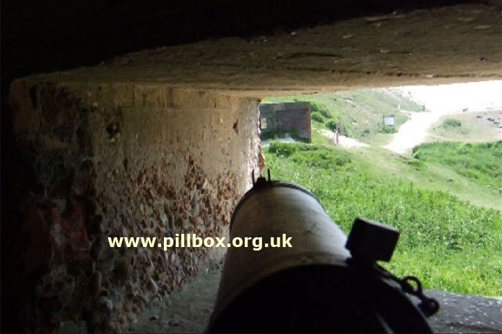 With a Vickers Gun to Cuckmere