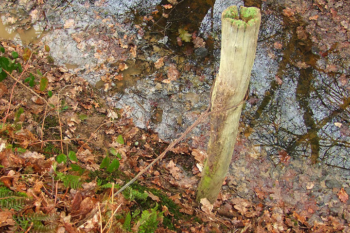 Anti-tank ditch at Crowborough