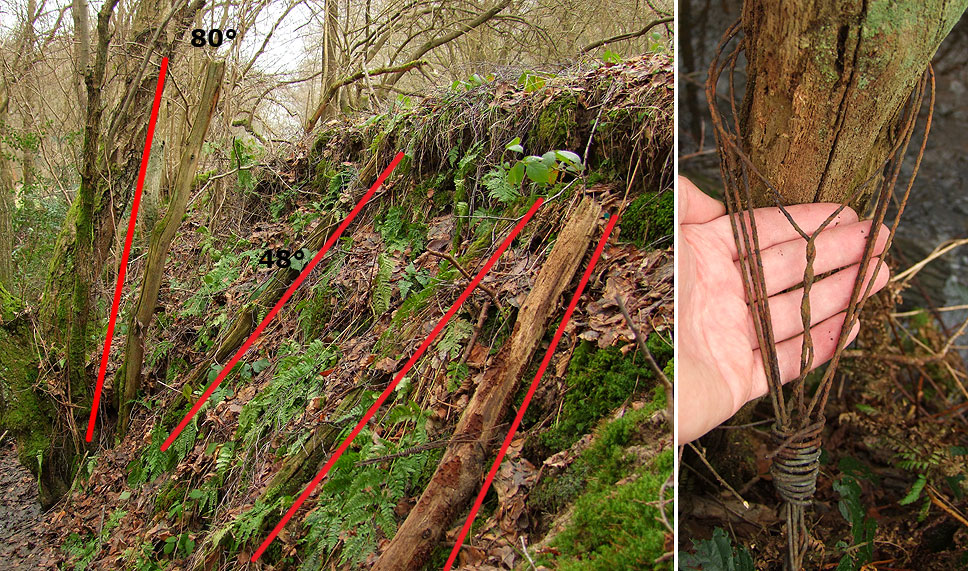 Anti-tank ditch at Crowborough