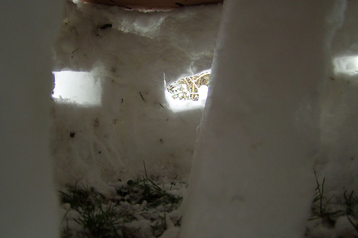 Ice Concrete Pillbox