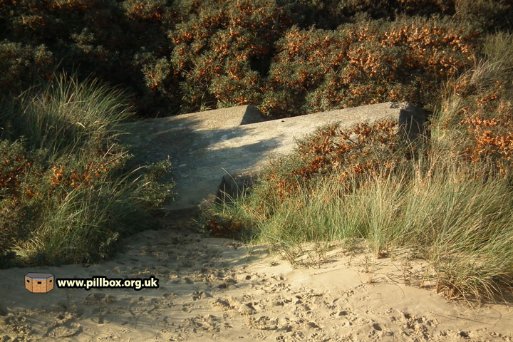 Pillboxes at Camber