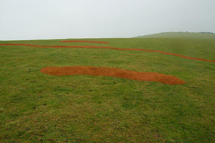 Cat Scratch Fever: anti-landing trenches