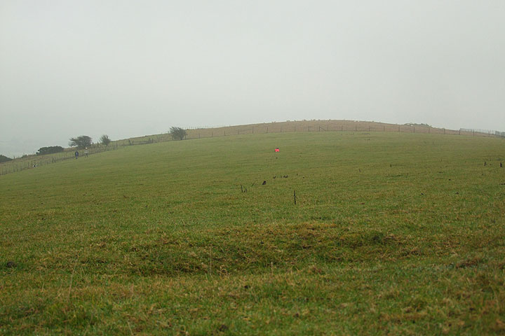 Cat Scratch Fever: anti-landing trenches