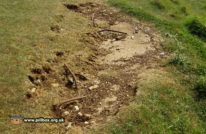 Fascinating new evidence at Cuckmere Haven!