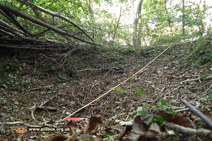 Bomb craters