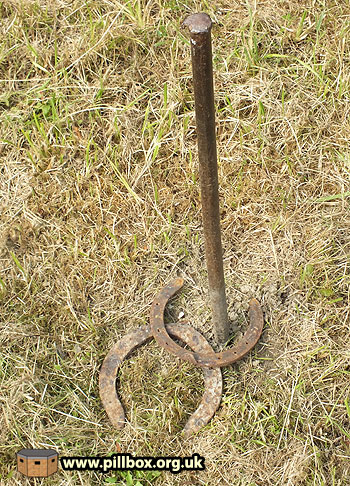 Wartime sport in East Sussex
