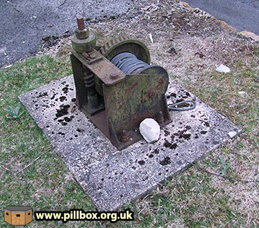 Protecting Aspidistra