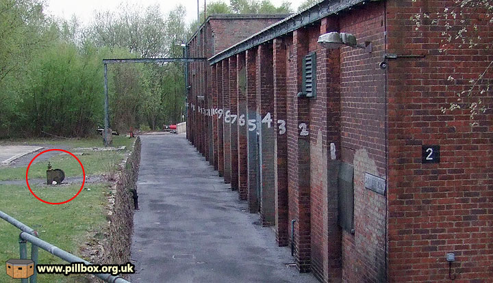 Protecting Aspidistra