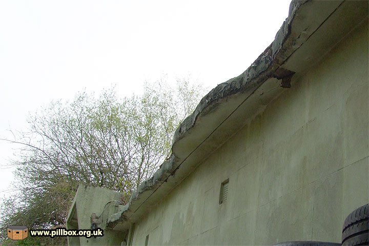 Protecting Aspidistra