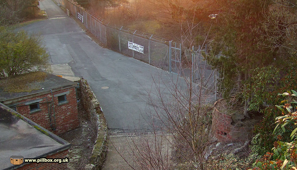 Protecting Aspidistra