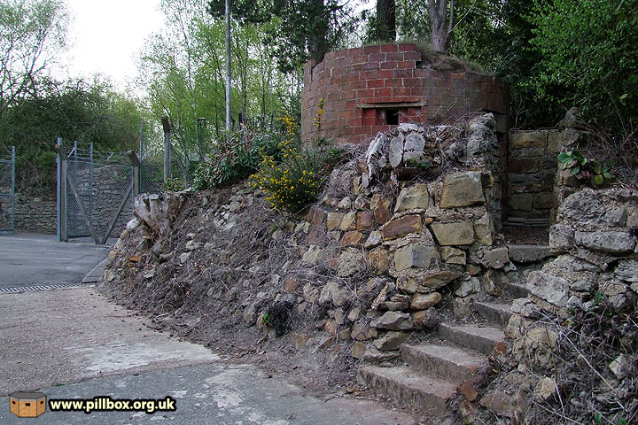 Protecting Aspidistra