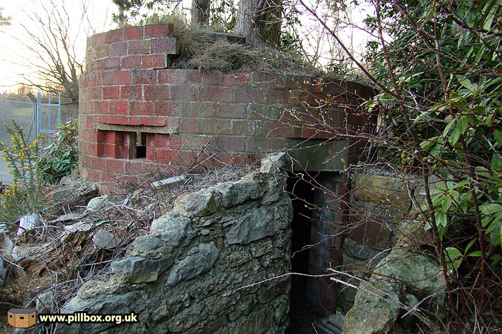 Protecting Aspidistra