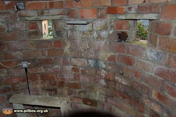 Protecting Aspidistra