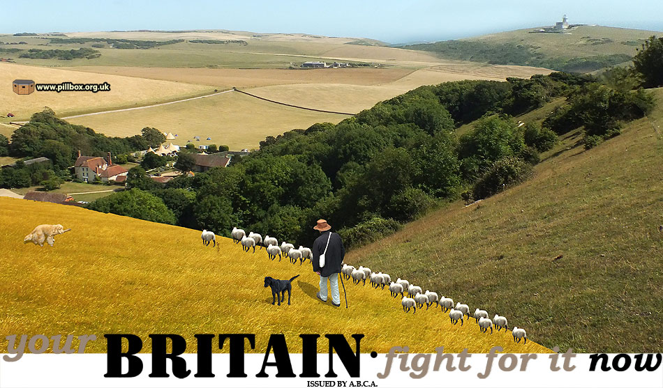 Your Britain - Fight for it Now